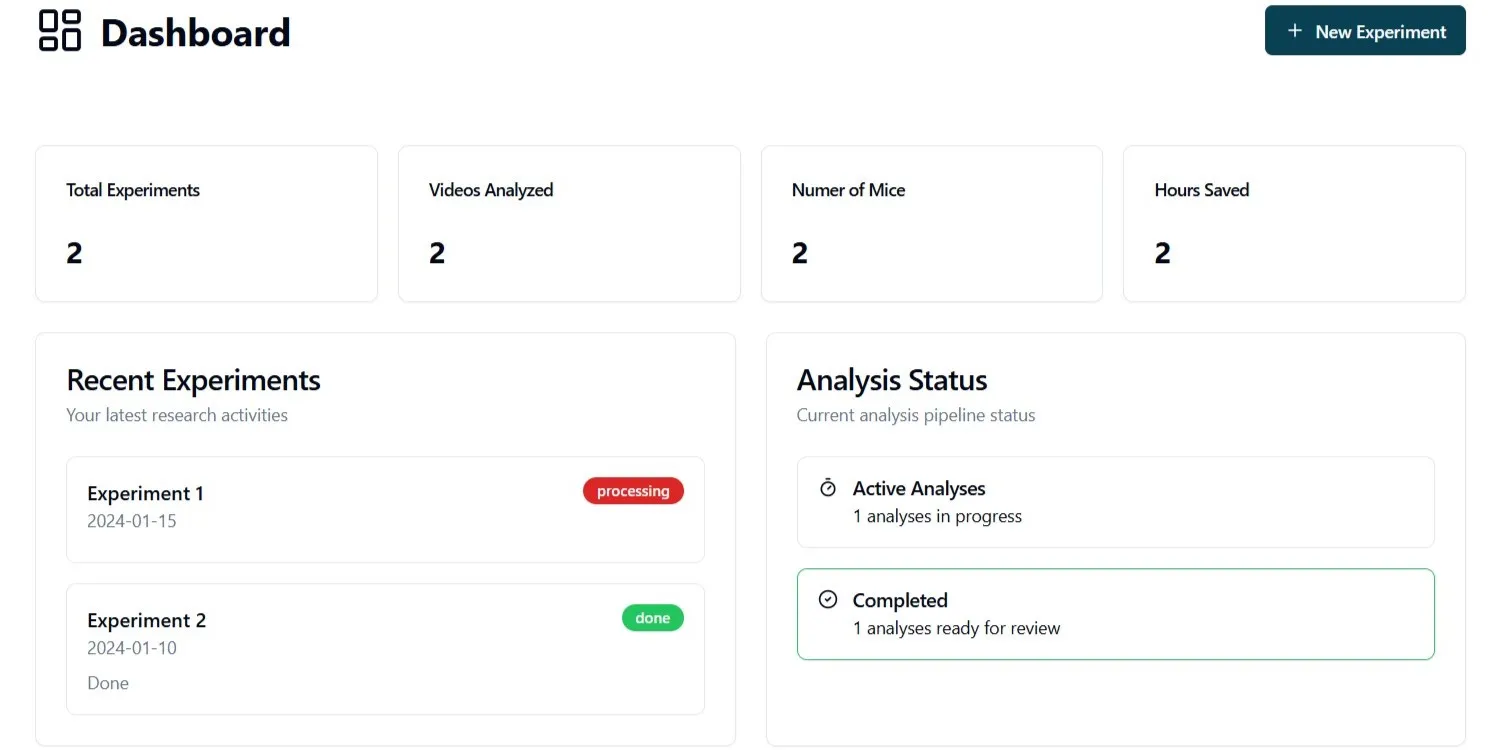Explore the dashboard